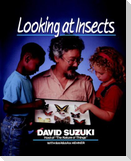 Looking at Insects