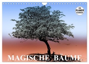 Stanzer, Elisabeth. Magische Bäume (Wandkalender 2024 DIN A4 quer), CALVENDO Monatskalender - Bäume als magischer Blickfang in der Natur. Calvendo Verlag, 2023.