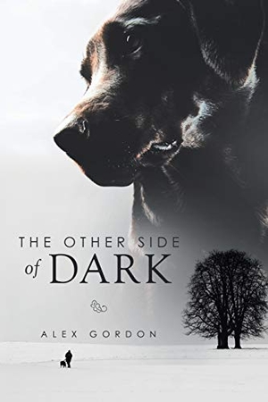 Gordon, Alex. The Other Side of Dark. Xlibris, 2015.
