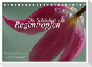 Die Schönheit von Regentropfen (Tischkalender 2025 DIN A5 quer), CALVENDO Monatskalender