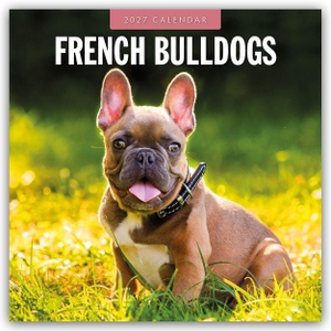 Red, Robin. French Bulldogs - Französische Bulldoggen 2027 - 16-Monatskalender - Original Red Robin Publishing Ltd-Kalender [Mehrsprachig] [Kalender]. Browntrout Verlags GmbH, 2026.