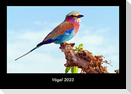 Vögel 2023 Fotokalender DIN A3