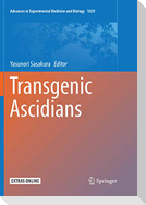 Transgenic Ascidians