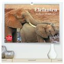 Elefanten in freier Wildbahn (hochwertiger Premium Wandkalender 2024 DIN A2 quer), Kunstdruck in Hochglanz