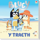 Bluey: Y Traeth