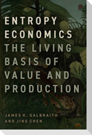 Entropy Economics