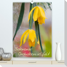 Betörende Orchideenvielfalt (Premium, hochwertiger DIN A2 Wandkalender 2023, Kunstdruck in Hochglanz)