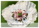 Blüteneleganz in Weiß (Wandkalender 2025 DIN A2 quer), CALVENDO Monatskalender