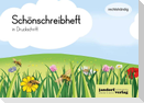 Schönschreibheft in DS - rechtshändig