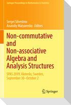 Non-commutative and Non-associative Algebra and Analysis Structures