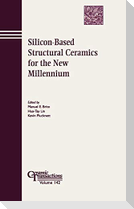 Silicon-Based CT Vol 142
