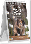 Katzenglück 2027