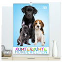 Kunterbunte Hundewelpen (hochwertiger Premium Wandkalender 2025 DIN A2 hoch), Kunstdruck in Hochglanz