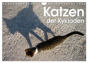 Kraemer, Silvia. Katzen der Kykladen (Wandkalender 2024 DIN A4 quer), CALVENDO Monatskalender - Ein Katzenkalender mit Porträts der Kykladen Katzen. Calvendo Verlag, 2023.