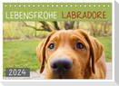 Lebensfrohe Labradore (Tischkalender 2024 DIN A5 quer), CALVENDO Monatskalender
