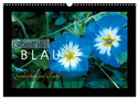 Goethes Blau. Gedanken zur Farbe (Wandkalender 2024 DIN A3 quer), CALVENDO Monatskalender