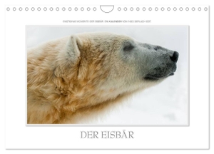 Gerlach GDT, Ingo. Emotionale Momente: Der Eisbär. (Wandkalender 2024 DIN A4 quer), CALVENDO Monatskalender - Über Jahre hinweg hat der renommierte Naturfotograf Ingo Gerlach GDT Eisbären fotografiert.. Calvendo Verlag, 2023.