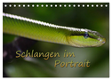 Schlangen im Portrait (Tischkalender 2024 DIN A5 quer), CALVENDO Monatskalender