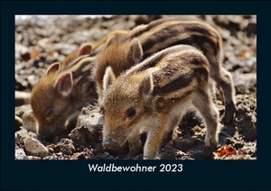 Tobias Becker. Waldbewohner 2023 Fotokalender DIN A5 - Monatskalender mit Bild-Motiven von Haustieren, Bauernhof, wilden Tieren und Raubtieren. Vero Kalender, 2022.