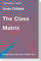 The Class Matrix: Social Theory after the Cultural Turn