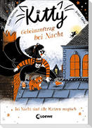 Kitty (Band 2) - Geheimauftrag bei Nacht