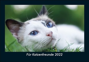 Tobias Becker. Für Katzenfreunde 2022 Fotokalender DIN A5 - Monatskalender mit Bild-Motiven von Haustieren, Bauernhof, wilden Tieren und Raubtieren. Vero Kalender, 2021.