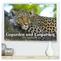 Die Lautlosen. Geparden und Leoparden (hochwertiger Premium Wandkalender 2025 DIN A2 quer), Kunstdruck in Hochglanz