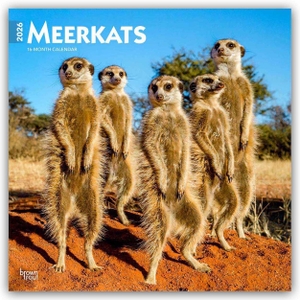 Publishers, Browntrout. Meerkats - Erdmännchen 2026 - 16-Monatskalender - Original BrownTrout-Kalender [Mehrsprachig] [Kalender]. Browntrout Verlags GmbH, 2025.