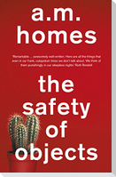 The Safety Of Objects