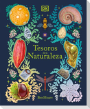 Tesoros de la Naturaleza (Nature's Treasures)