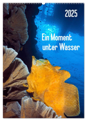 Ein Moment unter Wasser (Wandkalender 2025 DIN A2 hoch), CALVENDO Monatskalender