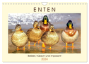 Enten. Beliebt, hübsch und imposant (Wandkalender 2024 DIN A4 quer), CALVENDO Monatskalender