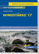 Windstärke 17 von Caroline Wahl