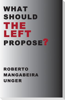 What Should the Left Propose?