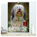 Hunde - treu und ehrlich (hochwertiger Premium Wandkalender 2024 DIN A2 hoch), Kunstdruck in Hochglanz