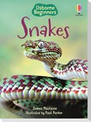 Snakes (Usborne Beginners)