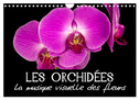 Les Orchidées - La musique visuelle des fleurs (Calendrier mural 2025 DIN A4 vertical), CALVENDO calendrier mensuel