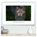 Emotionale Momente: Die Wildkatze. (hochwertiger Premium Wandkalender 2025 DIN A2 quer), Kunstdruck in Hochglanz