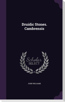 Druidic Stones. Cambrensis