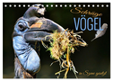 Schräge Vögel in Szene gesetzt (Tischkalender 2024 DIN A5 quer), CALVENDO Monatskalender