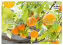 Emotionale Momente: Orangen und Zitronen. (Tischkalender 2024 DIN A5 quer), CALVENDO Monatskalender