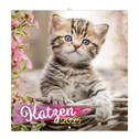 Trötsch Broschürenkalender Katzen 2025