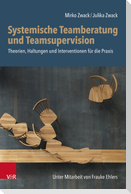 Systemische Teamberatung und Teamsupervision