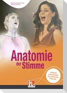 Anatomie der Stimme