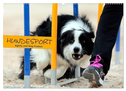 HUNDESPORT - Agility und Dog Frisbee (Wandkalender 2024 DIN A2 quer), CALVENDO Monatskalender