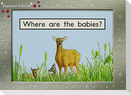 Where Are the Babies?