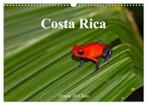 Di Chito, Ursula. Costa Rica (Wandkalender 2024 DIN A3 quer), CALVENDO Monatskalender - Costa Rica - Land der Regenwälder und Vulkane. Calvendo Verlag, 2023.