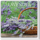 Lavender - Lavendel 2027 - 16-Monatskalender