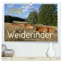 Weiderinder im Frankenwald (hochwertiger Premium Wandkalender 2024 DIN A2 quer), Kunstdruck in Hochglanz