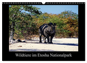 Wildtiere im Etosha Nationalpark (Wandkalender 2024 DIN A3 quer), CALVENDO Monatskalender
